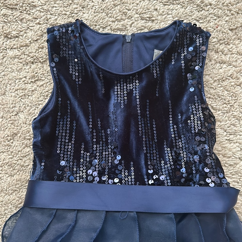 4T Rare Editions special occasion dress - Picture 2 of 5